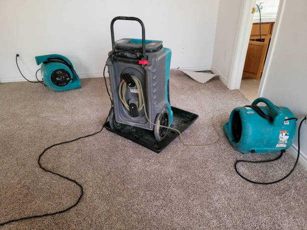 Best Flood damage cleanup  in Mineral Springs, NC