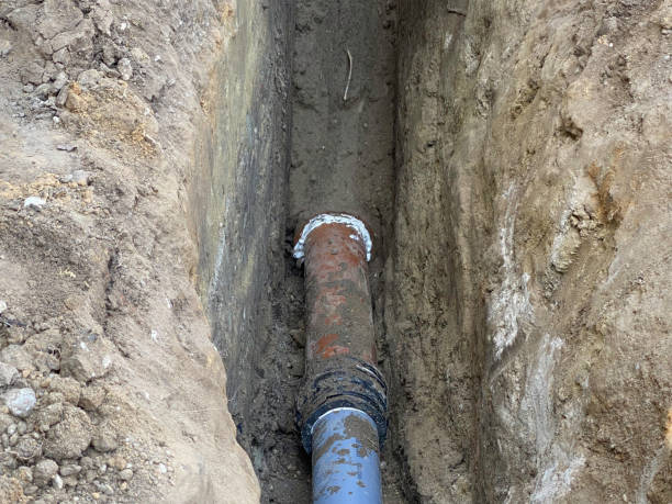 Best Flood restoration services  in Mineral Springs, NC