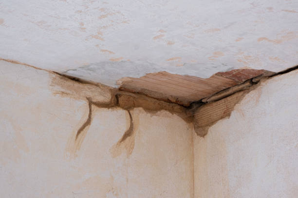 Best Water damage mitigation services  in Mineral Springs, NC