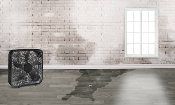 Best Commercial water damage restoration  in Mineral Springs, NC