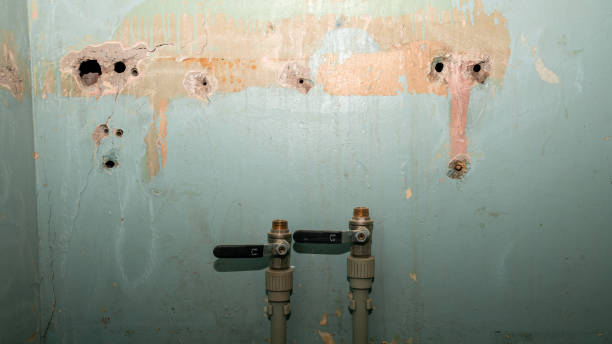 Best Water damage restoration near me  in Mineral Springs, NC